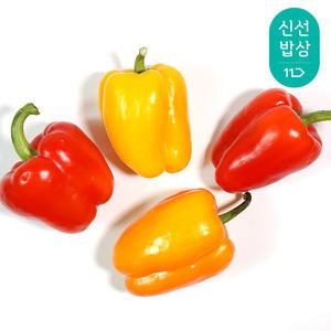 [품질보장] 국내산 강진 파프리카 2kg