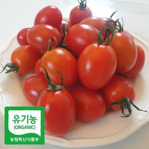 [기타]초록초록팜 유기농 대추 방울 토마토  5kg 친환경 토마토