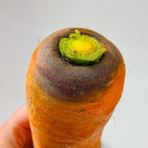 국산 못난이 당근 10KG 주스용 맛있는 당근