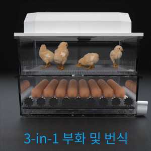 그린부화기 자동 국산 자동 병아리 오리 거위 계란 닭