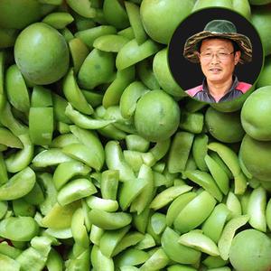 [예약판매] 맑은물농원 하동 씨제거 청매실 깐매실 3kg