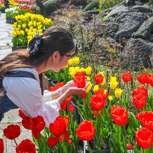 |6월 이벤트| 제주 메이즈랜드 (가볼만한곳/관광/제주투어/자유여행/가족/친구/연인/아이와함께/테마파크/이색체험/브이패스/인생샷/자연/힐링)