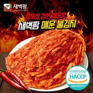[기타]새벽팜 매운 불김치 1kg 전라도김치 참매실 배추 실비김치