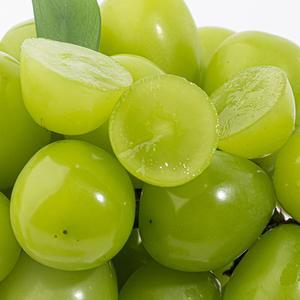 고당도 오톰크리스피 애플 청포도 씨없는 포도 2kg(1kg x 2팩)