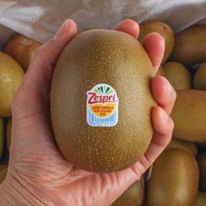 제스프리 고당도 골드키위 자이언트점보 31개입(5.7kg)