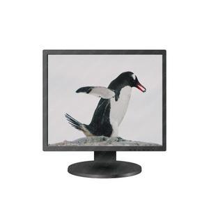 [LG][K]LG전자 19인치 IPS 19BR35L 48.3cm 피벗 PC모니터