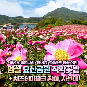 [전북] 임실 요산공원 작약꽃밭(붕어섬/옥정호)+장미원+사선대 당일여행(일반/리무진 선택) / 서울경기出