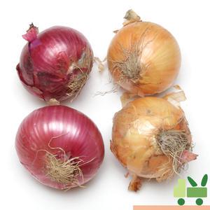 양파 반반 (1등) 5kg