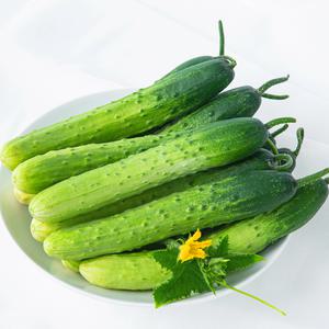 국내산 백오이 백다다기오이 1-5kg