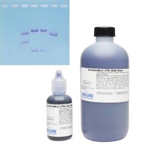염색시약 CarolinaBLU DNA Stain 과학실험
