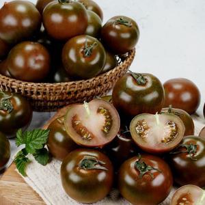 스테비아 블랙토마토 2kg