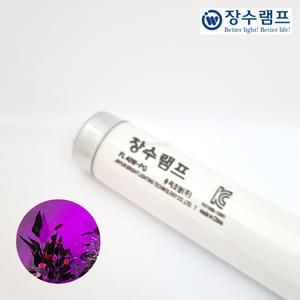 장수램프 직관 식물재배용 형광램프 FL40W PG 수족관조명 꽃집조명 정육점 20개입