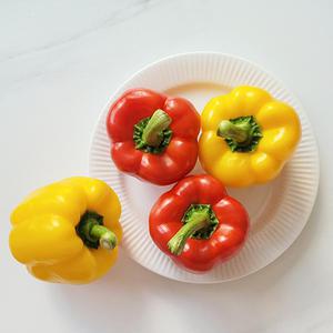 파프리카 빨강 노랑 혼합 최상급 5kg