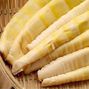 지리산 구례 냉동 죽순 1kg