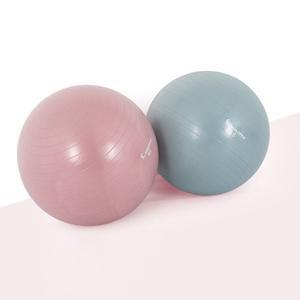 (와일드 핑크) 아이워너 안티버스트 파스텔 짐볼 55cm 3종/스트레칭/요가/필라테스/운동/헬스/홈트레이닝