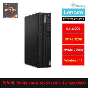 레노버 ThinkCentre M75s Gen5 12TAS00S00 R3 8300G/32gb/256gb/Win11 Pro 가정용,인강용,사무용 - ps