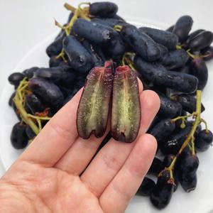 씨없는 스윗 블랙사파이어 포도 2.5KG 특품