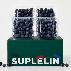 국내산 블루베리 400g (왕특대/100g*4팩)