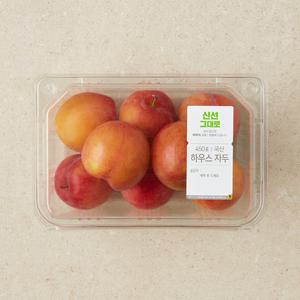하우스 자두 450g/팩