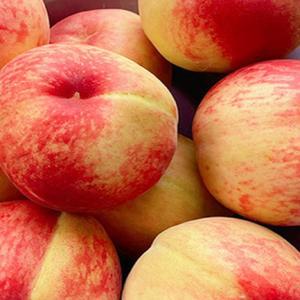 특등급 NS팜 프리미엄 고당도 하우스복숭아 500g 1kg 1.5kg 중소과 대과 과즙팡 신선과일