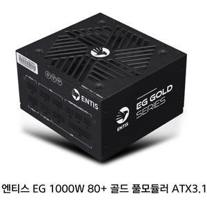 엔티스 EG 1000W 파워 80PLUS골드 풀모듈러 ATX3.1 파워서플라이