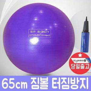 [XB768J28]멀티 짐볼 필라테스 요가 마사지 짐볼 65cm