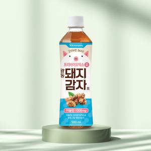 [본사직영] 광동 돼지감자차 500ml 24입 (유/무라벨 랜덤발송)