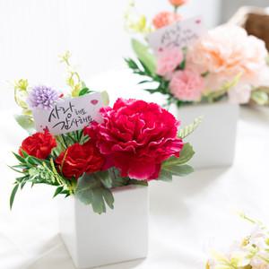 카네이션 소국 선물 화분 set 15cm (2컬러) 인테리어 조화 어버이날 스승의날 테이블
