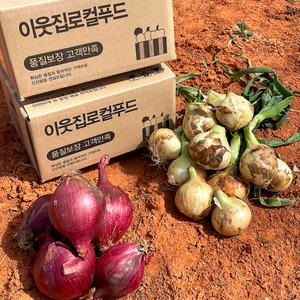 25년 무안 햇 양파 적양파 자색양파 3kg 5kg