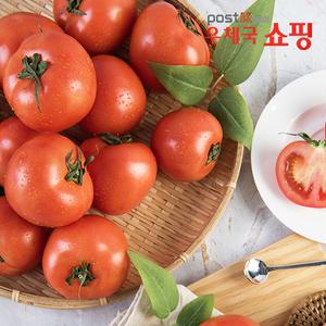 [우체국쇼핑] 정읍 유럽형 완숙 토마토 2kg/5kg (농가직송) #이음농원
