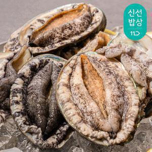 [혜택가26,460원]완도 활 전복1kg 7-8미 특대전복 횟감용 구이용 살아서도착 + 세척솔