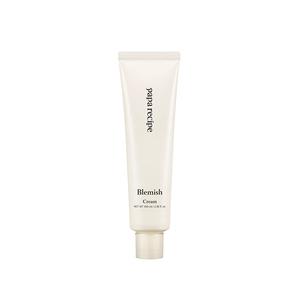 파파레서피 블레미쉬 크림 100ml