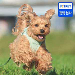 헤이테일 에어워크 가벼운 하네스/목줄+리드줄 SET (XS-L)