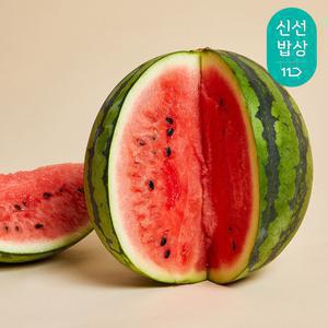 [산지발송]프리미엄 고당도 꿀수박 5kg/6kg 미만 (12brix이상)