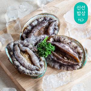 [혜택가23,960원] *추천* 완도 활 전복 1kg 9-10마리 왕특대 사이즈 / 세척솔증정
