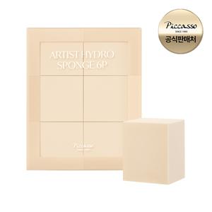 [피카소] 아티스트 하이드로 스펀지 6P