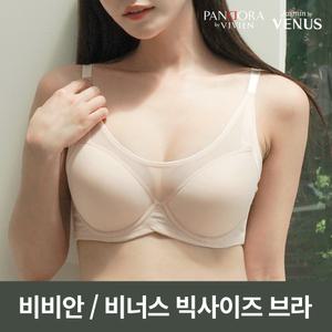 비비안 비너스 외 빅사이즈 브라 / C컵 D컵 E컵 F컵 팬티 속옷 세트 여성 여자 큰컵 노