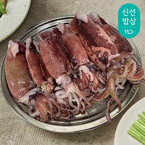 [혜택가 9,920원] [품질보장] 더신선 자연산 통찜용 한입 한치 500g (15-25미) x 2팩