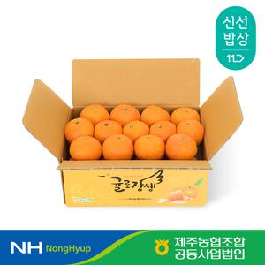 [제주농협] 귤로장생 카라향 2kg 소과(16-25입)