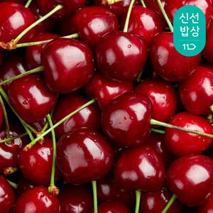 [품질보장]캘리포니아 항공 체리 9.5R 400+100g추가(500g 발송)
