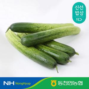 [동천안농협] 백다다기 오이 4kg 농협선별
