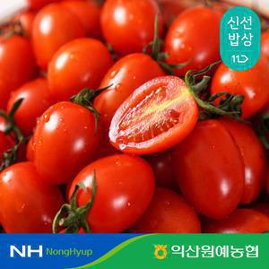 [익산원예농협] 탱글탱글 익산 GAP인증 대추방울 토마토 2kg (1~3번, 대과)