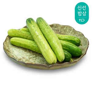 [품질보장] 국내산 백다다기 오이 2kg / 아삭아삭 백오이