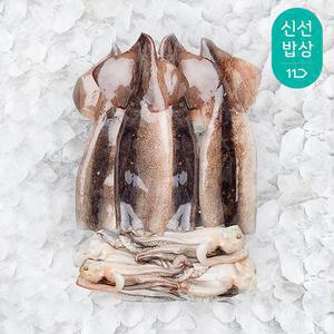 [혜택가 15,120원] 더신선 자연산 손질 통오징어 500g x2팩 총 4미 / 고소하고 쫄깃한