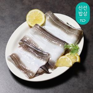 [3+1] 경남 통영 100% 자연산 활 바다장어 2마리 (46~50cm/골든사이즈)