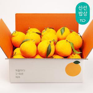 [품질보장] 깨비농원 제주 한라봉 4kg 대용량