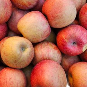 [농할가 15,920] 잇츠프레시 경북 못난이 사과 3kg 10~16입