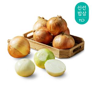 [혜택가 9,880원] 25년 국내산 햇 양파 (특) 5kg