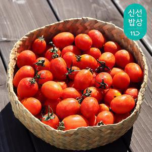 [품질보장]대추 방울토마토 2kg 5kg 과일꾼[원산지:국산]