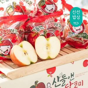 최종혜택 13,820! [세척사과 국내리뷰수1위!] 고당도! 프리미엄 산들앤 달코미 세척 꼬
